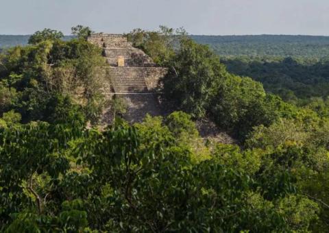 Mayan Calakmul near the hidden city of Valeriana