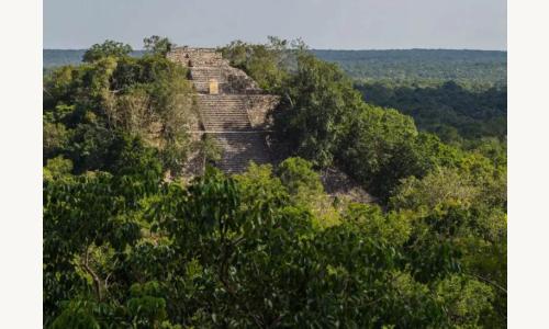 Mayan Calakmul near the hidden city of Valeriana